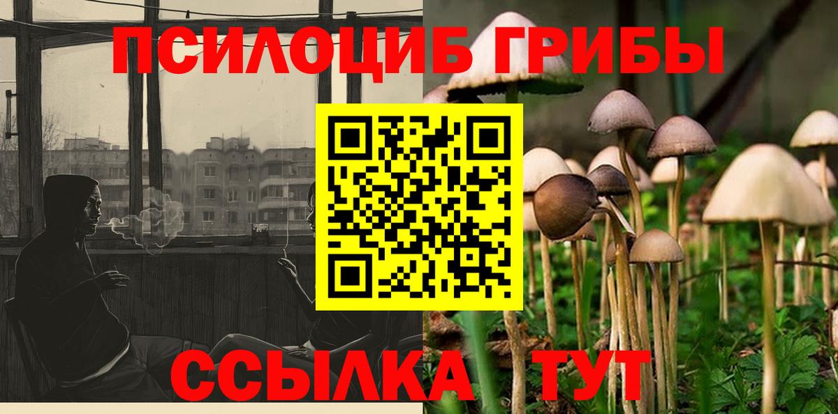 Галлюциногенные грибы мицелий  Вход с VPN  Саянск 